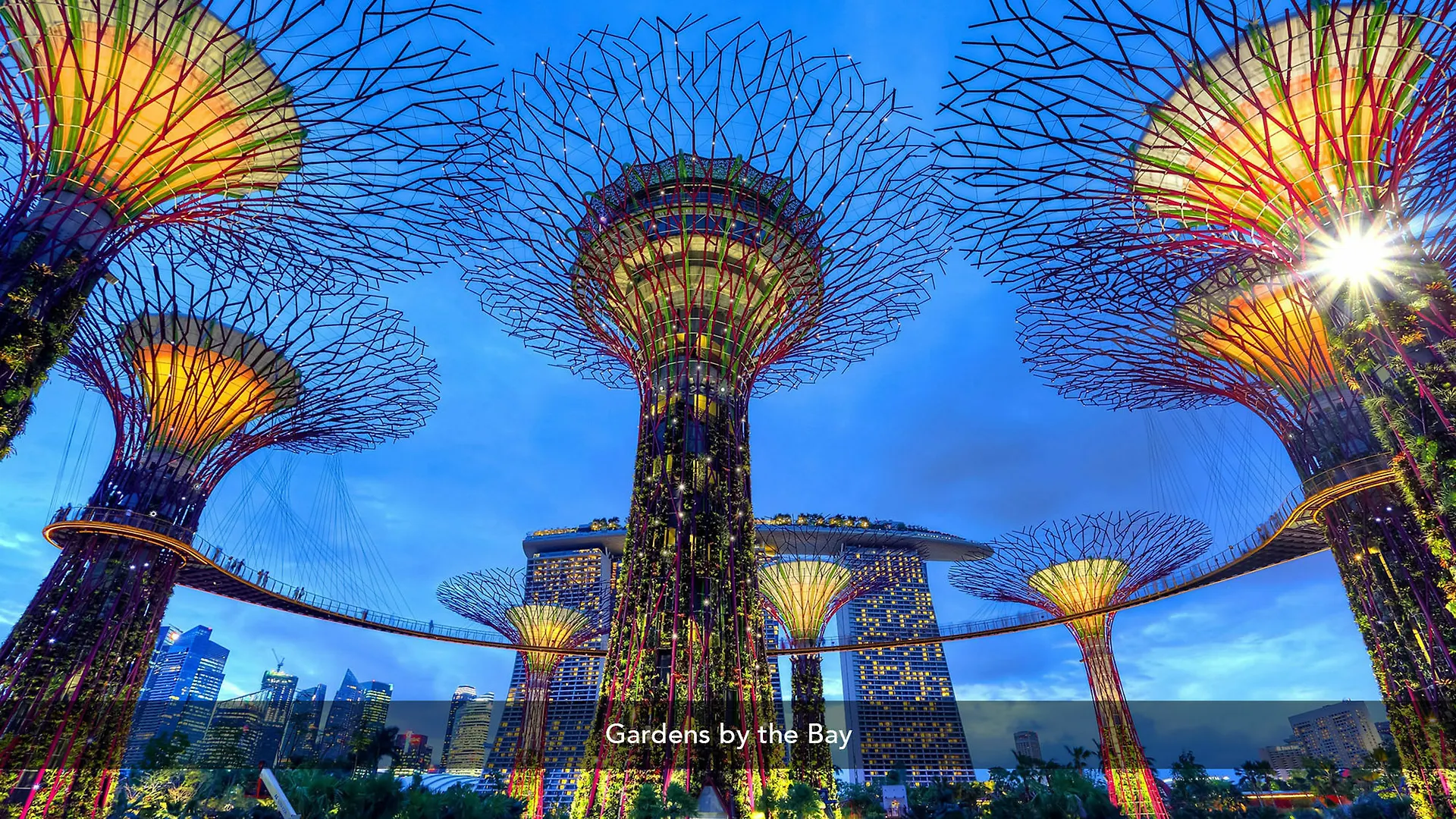 Zen Rooms Mackenzie Singapour